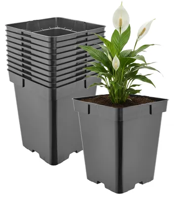 Produktbild von Garronda 10er-Set hohe quadratische Kunststoff-Anzuchttöpfe mit Drainagelöchern für Garten, Schwarz, 18 x 18 x 21,5 cm, 5 L GD-KW-HS