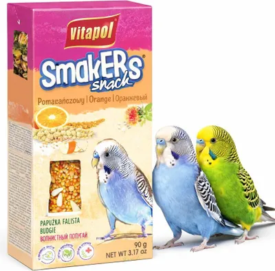 Zdjęcie produktu dla Vitapol Smakers POMARAŃCZOWY dla Papużki Falistej 2 szt. 90 g - Ręcznie Suszona Kolba z Pyłkiem Kwiatowym