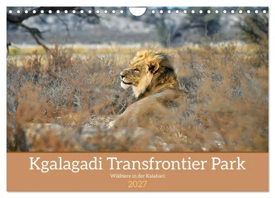 Immagine prodotto di Kgalagadi - Fauna e animali selvatici nel Kalahari (calendario da parete 2027, formato A4 orizzontale), calendario mensile CALVENDO
