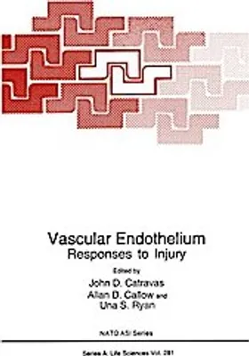 Obrázok produktu pre Vascular Endothelium