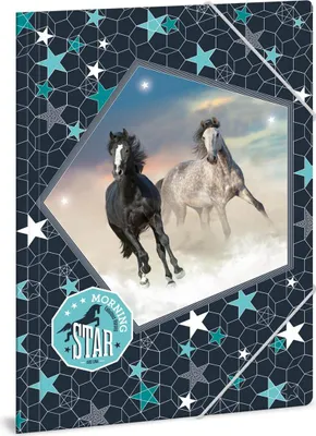 Immagine prodotto di Ars Una Cartella per quaderni Morning Star cavalli A4