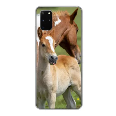 Produktbild von MuchoWow® Handyhülle Schutzhülle Hülle für Samsung Galaxy S20 Plus Pferde - Fohlen - Gras Silikon Softcase Handy Hülle - Hartschale