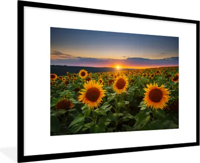 Produktbild von MuchoWow® Gerahmtes Poster Blumen - Nacht - Sonnenuntergang - Sonnenblume - Horizont 90x60 cm - Poster mit Schwarzem Bilderrahmen Wandposter Rahmen Foto Bilder - Wanddekoration - Fotos