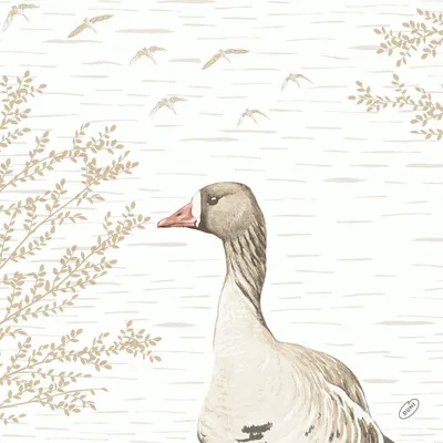 Produktbild von Dsoft-SV.40x40 Wood&Goose 60St