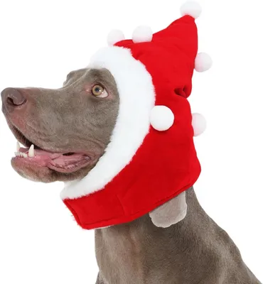 Produktbild von Weihnachtsmütze für den Hund Nikolaus Verstellbar Weich Niedlich Rot M
