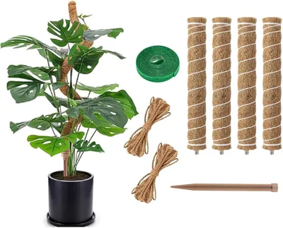 Imagen del producto de Soportes para plantas tipo "moosstab", 4 unidades, 61 cm, para plantas trepadoras