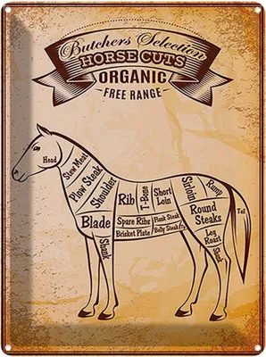 Produktbild von vianmo Blechschild 40x30 cm Horse cuts Organic Metzgerei Hofladen Marktstand Laden