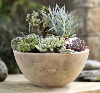 Produktbild von Pflanzschale "Herz" aus Terracotta mit Antik Finish, Ø 32 cm, Blumenschale, Pflanzgefäß, Gartendeko für Draußen