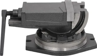 Produktbild von vidaXL 2-Achsen-Schraubstock Kippbar 160 mm