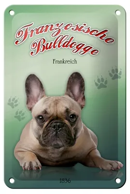 Produktbild von Blechschild Hund 12x18cm Französische Bulldogge