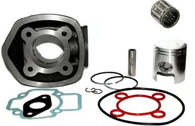 Produktbild von 70 Racing Zylinder Nadel Lager GANZES Set für Piaggio NRG 50 MC3 DD abBj2000