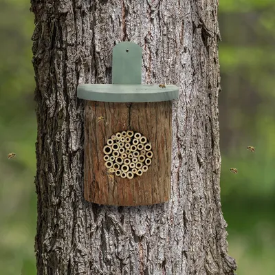 Produktbild von Famanu Insektenhotel für wilde Bienen - 265 x 17 x 19 cm - Holz natur grün