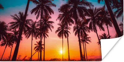 Produktbild von MuchoWow® Poster Palme - Sonnenuntergang - Horizont - Strand - Orange - Rosa 40x20 cm - Poster für die Wand - Poster Schlafzimmer