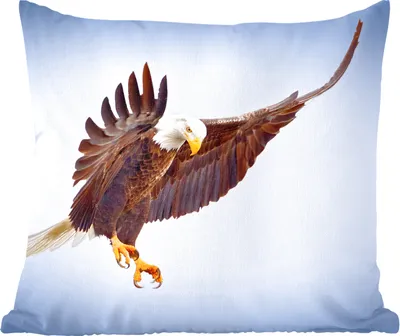 Produktbild von MuchoWow® Zierkissen Sofakissen Wohnzimmer Dekokissen 45x45 cm Adler - Luft - Tier - Schlafpolster - Polster für das Sofa