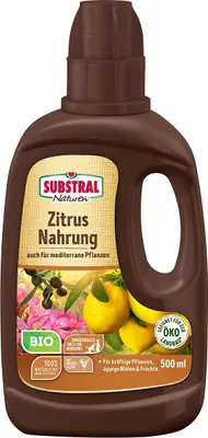 zuckungen im künstlichen koma Koma 1: Die Stimme der Schlote – Reprodukt main image 1