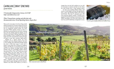 Zdjęcie produktu dla The Vineyards of Britain