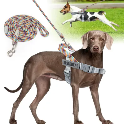 Productafbeelding van Hondentuig met Leash, Geen Trek Tuig voor Honden