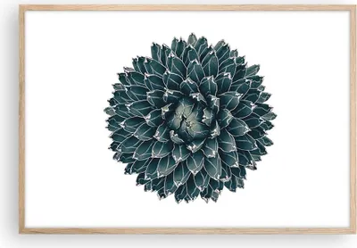 Produktbild von Gerahmtes Poster - Rahmen in heller Eiche - Agave Königin Victoria - 91,5x61 cm - Wand Bild - Wanddeko - Wandbilder - Wandposter - Bilderrahmen - Bilder - Kunstdruck - Wandbild - P2NAA91x61-4129