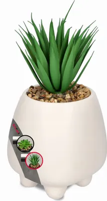 Produktbild von KADAX Sukkulenten "Rouy", kleine Kunstpflanze mit Topf, 1 Stück, Weiß, 10,5 cm