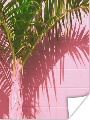 Produktbild von MuchoWow® Poster Pflanze - Sommer - Tropisch - Rosa 90x120 cm - Wohnzimmer