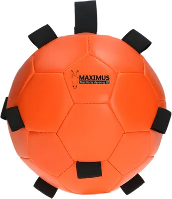 Produktbild von Maximus Fun Play Ball mit Schlaufe orange