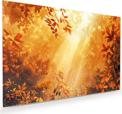 Produktbild von Glasbild 75x50cm in XXL für Wohnzimmer, Schlafzimmer Motiv Herbstlicher Wald