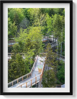 Produktbild von Ein Weg in Krynica Zdrój– Wandbild mit Rahmen – Gerahmtes Bild  – Wanddekoration – 60x80 cm –  Schwarz Rahmen