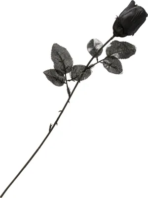 Image de Rose en tissu gothique accessoire d'Halloween noir 48x3cm - taille unique