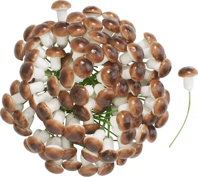Produktbild von VBS Pilz am Draht, Braun, 100 Stück
