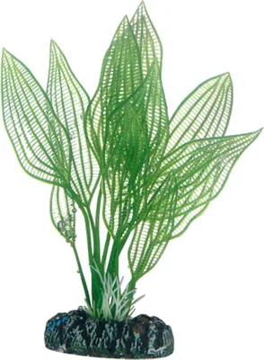 Produktbild von Hobby Aponogeton - 16 cm - künstliche Aquariumpflanze