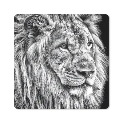 Produktbild von MuchoWow® Mauspad Mousepad Porträt - Löwe - Schwarz und weiß 20x20 cm - Mousepads - Maus Mat - Pad - Mausunterlage - Desk Mat - Bureauartikeln