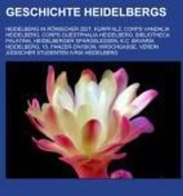 Produktbild von Geschichte Heidelbergs
