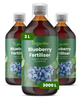 Zdjęcie produktu dla Borówka Nawóz Płynny 3x1 L – 2-1-8 NPK – Do Bobulové Krzewy – Do Zdrowe Krzewy i Bogate Plody – Podporuje Korzenie i Vitalitu – Organifer