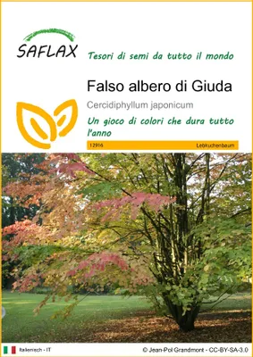 Immagine prodotto di SAFLAX  - Falso albero di Giuda - 200 semi - Cercidiphyllum