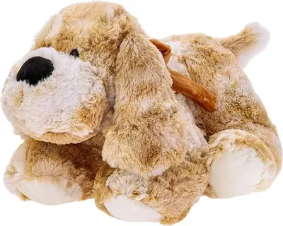 Image de BEPPE Chien Roddy 25cm 10645