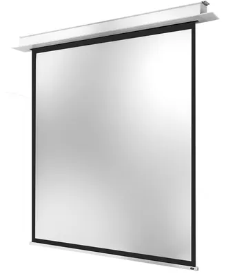Produktbild von Celexon 1000000866, Motorisiert, 2,4 m, 2,4 m, 1:1, Schwarz, Weiß