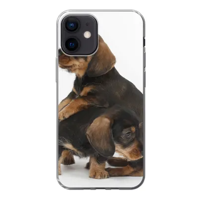 Produktbild von MuchoWow® Handyhülle Schutzhülle Hülle für iPhone 12 Studiofoto von zwei süßen Dackeln Silikon Softcase Handy Hülle - Schutzhülle