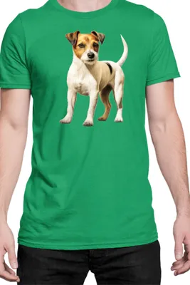 Produktbild von Herren T-Shirt Dogs Breeds Russell Terrier Dog Breed 006, Man S / Grün