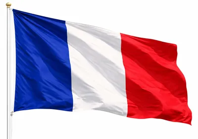 Produktbild von Frankreich Flagge - WM 2026 Fahne - Fanartikel - straparzierfähiges Polyester & Metallösen - Weltmeisterschaft (Frankreich 90x150 cm)