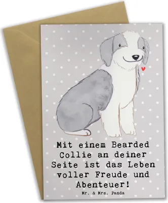 Produktbild von Mr. & Mrs. Panda neujahrskarte Bearded Collie Freund - Grau Pastell - Geschenk, Hunderasse, Eigenschaften, Grußkarte, Hunderassen Pflege, liebevoll, Beschreibung