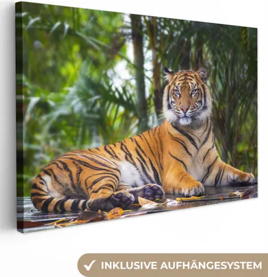 Produktbild von MuchoWow® - Leinwandbilder - Tiger - Tiere - Wald - Dschungel, Wandbild, Wanddeko Bilder Wohnzimmer, 30x20cm