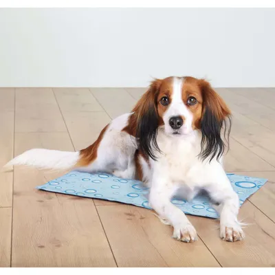 Produktbild von TRIXIE Hunde-Kühlmatte L 65x50 cm Hellblau