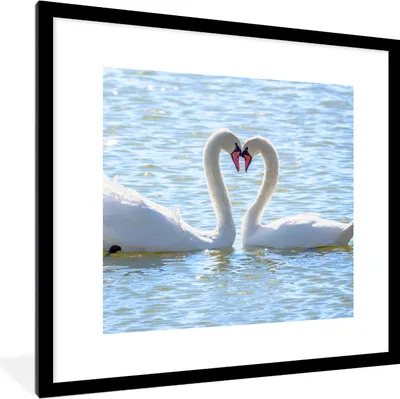 Produktbild von MuchoWow® Gerahmtes Poster Vögel - Schwan - Wasser - Liebe - Sonne 40x40 cm - Poster mit Schwarzem Bilderrahmen Wandposter Rahmen Foto Bilder - Poster - Plakat im Rahmen