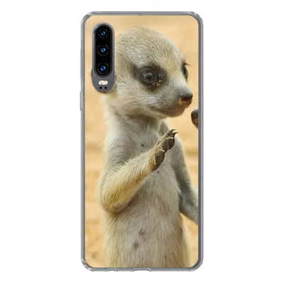 Produktbild von MuchoWow® Handyhülle Schutzhülle Hülle für Huawei P30 Erdmännchen - Braun - Tier Silikon Softcase Handy Hülle - Kartenbesitzer