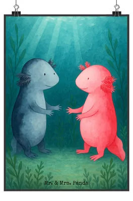 Produktbild von Mr. & Mrs. Panda Bild Axolotl Liebe Design DIN A3 - Weiß - Geschenk, Valentinstag, Wandbild, Verliebt, Kunstdruck, glücklich, poster, wanddeko, drucke