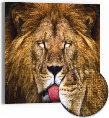 Produktbild von DEQORI Hybrid Leinwand Bild 30x30 cm 'Majestätisches Murmeln' Wandbild Glas flach modern