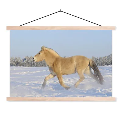 Produktbild von MuchoWow® Textilposter Trabendes Fjordpferd im Schnee 120x80 cm mit holzfarbenen Rahmen - Aufhängeset
