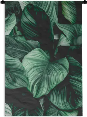 Produktbild von MuchoWow® Wandteppich Wandbehang Dschungel - Blätter - Tropisch - Pflanzen - Natur 60x90 cm Tapisserie Dekoration Wandtuch - Foto-Teppich - Abwaschbar
