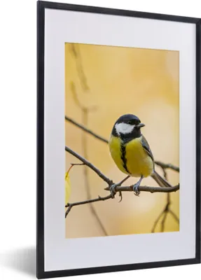 Produktbild von MuchoWow® Gerahmtes Poster Kohlmeise - Zweig - Vogel - Tiere 40x60 cm - Poster mit Schwarzem Bilderrahmen Wandposter Rahmen Foto Bilder - Poster in Rahmen