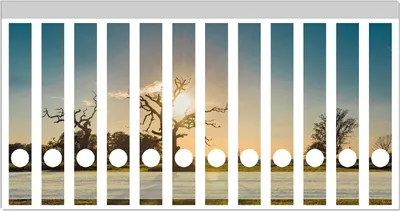 Produktbild von Wallario Ordnerrücken Sticker, selbstklebend für schmale Ordner, 12 Stück, Motiv Alte knochige Bäume bei Sonnenuntergang